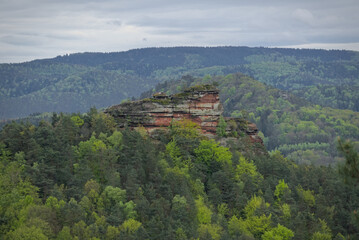 Naklejka premium A sandstone formation in the Palatinate forest