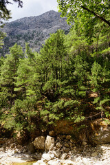 The Samaria Gorge is a National Park of Greece since 1962 on the island of Crete.
