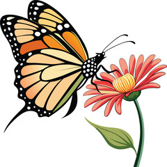 Monarch butterfly flying illustration. Monarch Butterfly on flowers