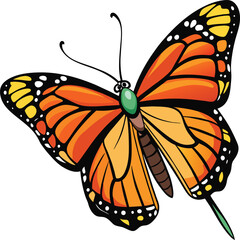 Monarch butterfly flying illustration. Monarch Butterfly on flowers