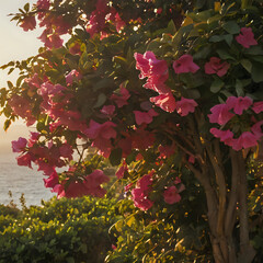 a tree with pink flowers growing on it by the water