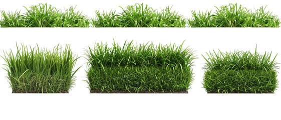 Lawns isolated on white PNG transparent background