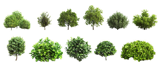 Fototapeta premium Set of bushes PNG transparent background