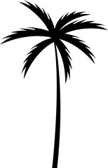 Tropical palm tree and leaf silhouette. Black palm tree. Design of palm trees for posters, banners and promotional and decoration items. Vector