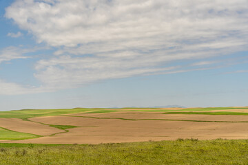A field of grass with a cloudy sky in the background. The sky is mostly blue with some clouds scattered throughout. The field is mostly green with some brown patches, giving it a somewhat dry