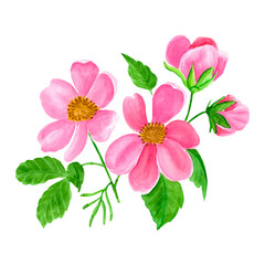 Watercolor pink and red roses with green leaves, in the style of clipart isolated on a white background, with pastel colors, low contrast, and high definition details in the water color painting.