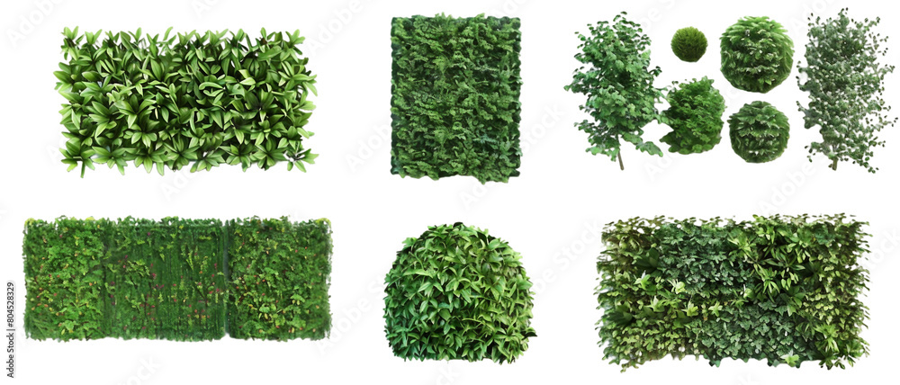 Poster Set of bushes PNG transparent background