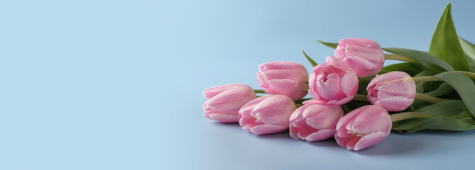Bouquet of pink tulips on pastel blue background. Valentine, Mother's day, women's day and wedding concept floral composition. A wide banner
