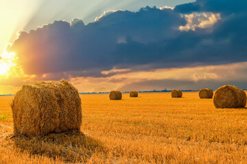 Hay bales in golden field under beautiful sky at sunset