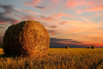 Hay bales in golden field under beautiful sky at sunset. Space for text