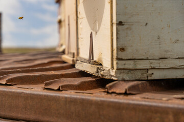 A wooden box with a bee on it. The box is on a metal platform