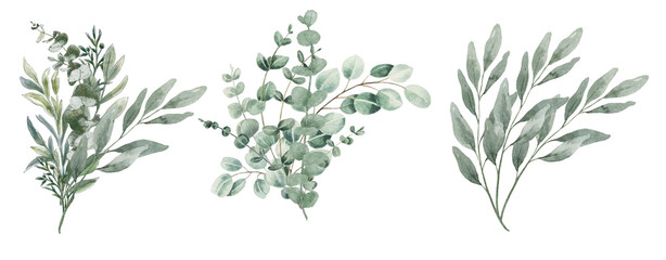 Bouquet of eucalyptus watercolor set on transparent background © Link Parker