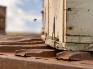 A bee is flying near a wooden box