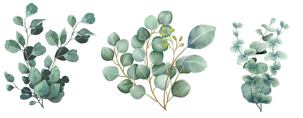 Watercolor illustration of a eucalyptus bouquet, showcasing hand-painted sage green branches © Link Parker