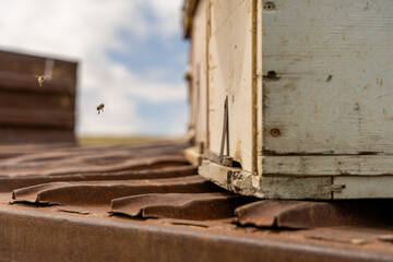 A bee is flying near a wooden box. The box is open and has a hole in it