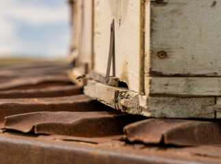 A bee is flying near a wooden box. The box is old and has a rustic appearance