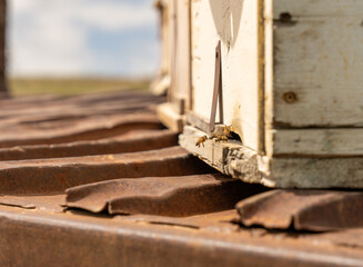 A wooden box with a bee on it. The box is old and has a rusty appearance