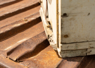A box with a hole in it and a bee flying around it