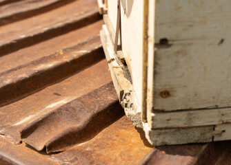 A wooden box with a hole in the side sits on a roof. The box is old and worn, with a rusty metal frame. The roof is also old and rusted, giving the scene a sense of decay and abandonment