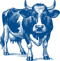 Cow Vector illustration, Hand drawn sketch livestock vector illustration