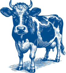 Cow Vector illustration, Hand drawn sketch livestock vector illustration