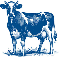 Cow Vector illustration, Hand drawn sketch livestock vector illustration