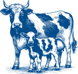 Cow Vector illustration, Hand drawn sketch livestock vector illustration