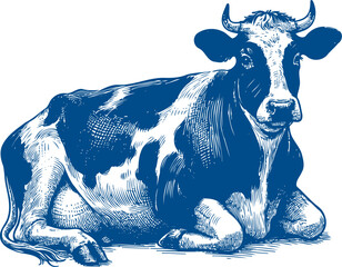 Cow Vector illustration, Hand drawn sketch livestock vector illustration