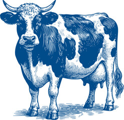 Cow Vector illustration, Hand drawn sketch livestock vector illustration