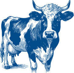 Cow Vector illustration, Hand drawn sketch livestock vector illustration