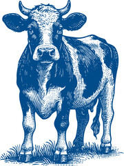Cow Vector illustration, Hand drawn sketch livestock vector illustration