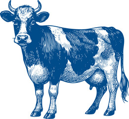 Cow Vector illustration, Hand drawn sketch livestock vector illustration