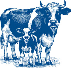 Cow Vector illustration, Hand drawn sketch livestock vector illustration