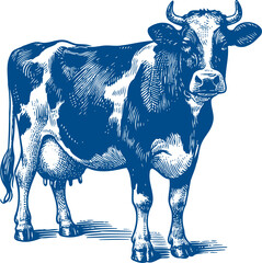 Cow Vector illustration, Hand drawn sketch livestock vector illustration