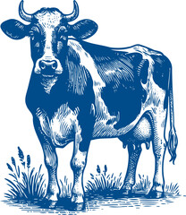 Cow Vector illustration, Hand drawn sketch livestock vector illustration