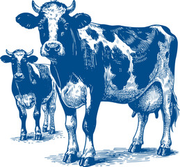 Cow Vector illustration, Hand drawn sketch livestock vector illustration