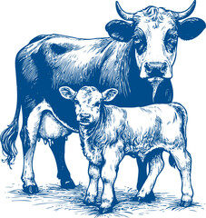 Cow Vector illustration, Hand drawn sketch livestock vector illustration