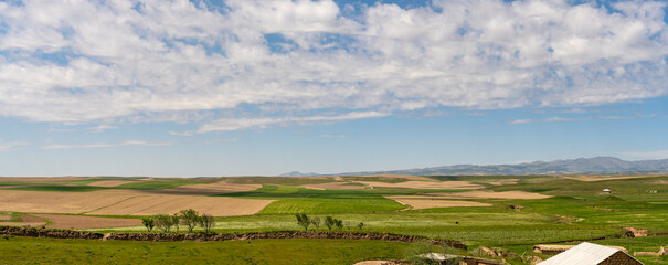 A large field with a few trees and a house in the distance. The sky is mostly clear with a few clouds scattered throughout