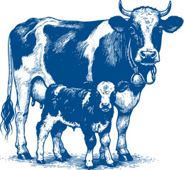 Cow Vector illustration, Hand drawn sketch livestock vector illustration