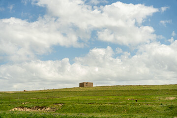 Fototapeta premium A field of grass with a small building in the middle. The sky is mostly clear with a few clouds