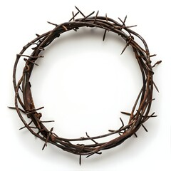 Fototapeta premium crown of thorns. A twisted, thorny wreath 