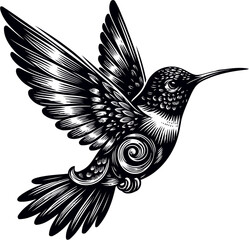humming bird vector illustration