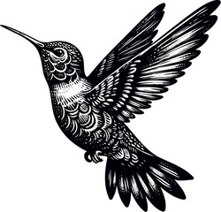 humming bird vector illustration