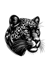 panther head vector illustration