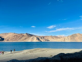 Leh Ladakh Pangong Lake 