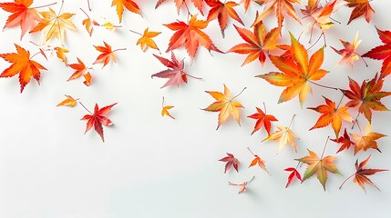 a high-resolution image of colorful maple leaves gently drifting down against a pure white background, embodying the season's charm.