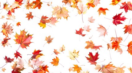 a high-resolution image of colorful maple leaves gently drifting down against a pure white background, embodying the season's charm.