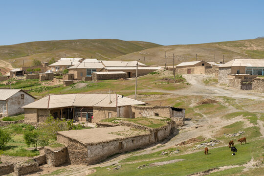 A small village with houses and cows grazing in the grass. The houses are made of stone and the cows are scattered throughout the area