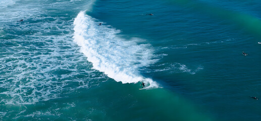 wave surfers 
