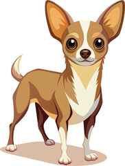 Chihuahua dog isolated on white background. illustration.